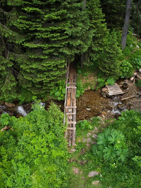 空中俯瞰一座木制人行天桥 桥由穿越一条奔流在针叶林附近的湍急河流的圆木建成 罗马尼亚喀尔巴阡山 — 图库照片