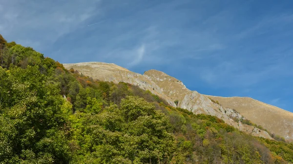 ビーチの木の森の上に上昇する岩のブイラ マスグラの鋭い浸食された崖 秋の季節になると 木はすべて色づけされます カルパシア ルーマニア — ストック写真