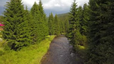 Bir dağ deresinin üzerinde insansız hava aracı uçurmak. Nehir bir köknar ağacı ormanı ve alp otlaklarından akar. Yaz sezonu. Carpathia, Romanya.