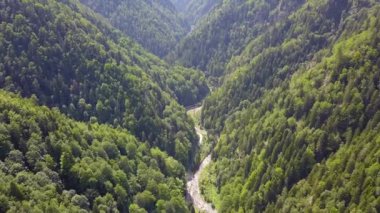 Sabah saatlerinde Latorita Vadisi üzerinde İHA uçuşu. Kayın ve köknar ormanları boyunca nehir boyunca kıvrılarak yol üzerinde uçuyor. Karpat Dağları, Romanya