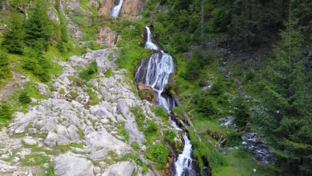 Ascendendo Longo Cachoeira Cascada Cailor Localizada Nas Montanhas Rodna Enorme — Vídeo de Stock