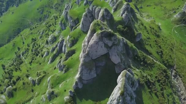Lot Samolotem Nad Grzbietami Ciucas Mountain Alpejskich Użytkach Zielonych Erozja — Wideo stockowe