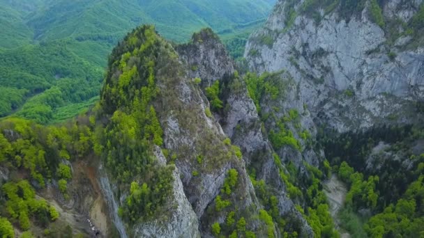 用视差效应拍摄石峰的空中无人侦察机 一条形成狭窄峡谷的河流侵蚀了石灰质的山峰 山毛榉树在上面长高了 Carpathia Building Massif — 图库视频影像