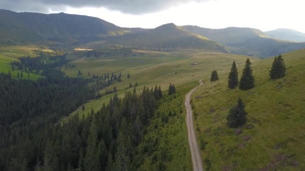 Flug Über Den Almwiesen Der Rodnaer Berge Erleuchtet Von Den — Stockvideo