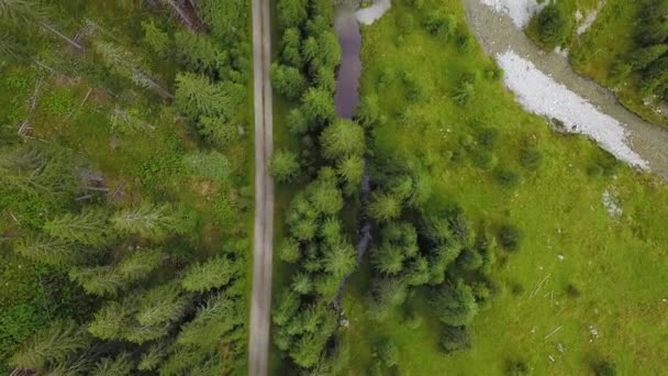 緑のスプルースの森と明確な山の川に沿って風を吹く森林砂利の道路の上空の無人機の飛行 パラン山脈 ルーマニア — ストック動画