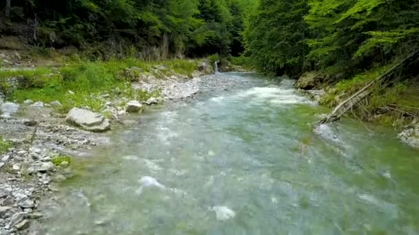 在山河的河床上飞行 清澈的海水沿着茂密的山毛榉林和陡峭的巨石流淌着 春天的时候 罗马尼亚喀尔巴阡山 — 图库视频影像
