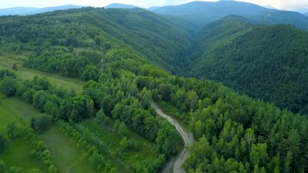 드론은 계곡을 오두막과 와인딩 지역에 위치한 과수원 동유럽의 — 비디오