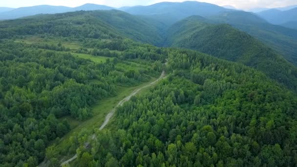 森の近くの丘陵地帯にあるいくつかの果樹園の上空飛行 山の下 森林小屋 渓谷に沿って曲がっている砂利の道 東ヨーロッパの農村風景 — ストック動画