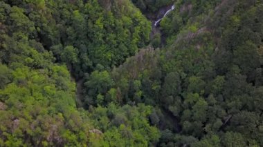 Lotrisor Vadisi 'nin üzerinde hava aracı uçuşu. Vadi, kayalıkları, vadileri ve kayın ormanları olan bir bölgede yer almaktadır. Nehir dik bir taş duvarın üzerinden akarken bir şelale oluşturur. Karpatya.