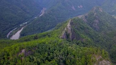 Kayalık dağların tepelerinde, lüks ve vahşi kayın ormanlarıyla kaplı bir hava aracı uçuşu. Vadi keskin vadilerden esiyor. Olt Nehri arka planda görülebilir. Carpathia, Romanya.