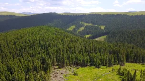 空中无人驾驶飞机对针叶林开采的全景 云杉在林地里被砍倒了 环境保护 罗马尼亚喀尔巴阡山 — 图库视频影像