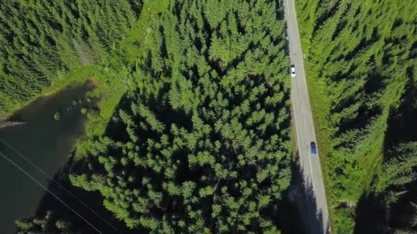 Yeşil Kozalaklı Bir Ormandan Geçen Dağlık Bir Yolda Giden Bir — Stok video