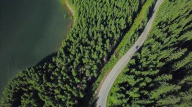 Yeşil kozalaklı bir ormandan geçen dağlık bir yolda giden bir arabayı takip eden hava aracı görüntüsü. Vidra gölü suları yeşil kıyıları yıkıyor. Carpathia, Romanya.