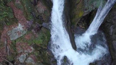 Büyük yosunlu taşlar, kayalar ve kütüklerden akan devasa bir şelale. Dere bir kayın ormanının içinden akar. Yere bir sürü yaprak düştü. Bahar mevsimi, Sureanu, Carpathia, Romanya