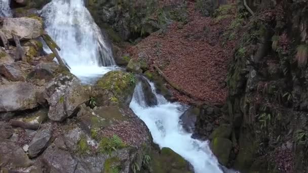Eine Quelle Die Durch Moosige Felsen Scharfe Felsbrocken Und Baumstämme — Stockvideo