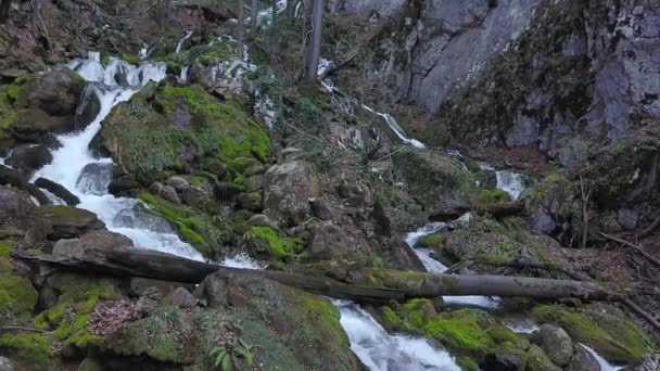 Eine Quelle Die Durch Moosbewachsene Felsen Scharfe Felsbrocken Und Baumstämme — Stockvideo