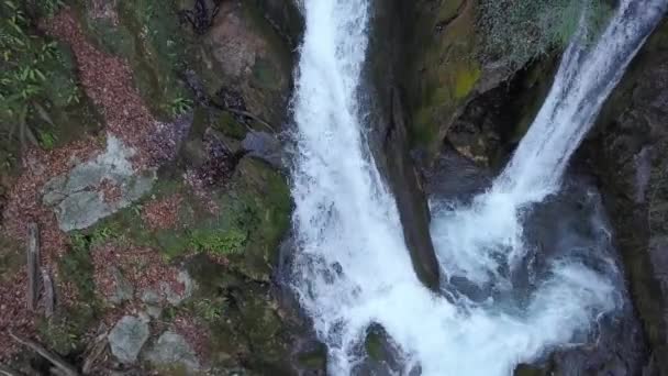 통나무를 흐르는 거대한 크릭은 흐릅니다 떨어졌습니다 수레아누 카파티아 루마니아 — 비디오