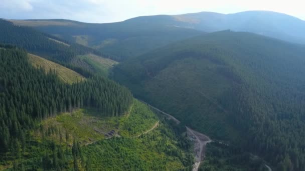 俯瞰森林开采区上方的无人机 山坡上生长的部分针叶林被砍伐 小种子被种植在空旷的草地上 罗马尼亚喀尔巴阡山 — 图库视频影像