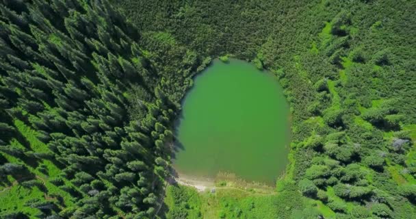 Lot Dronem Nad Jeziorem Sureanu Otoczonym Alpejskim Pastwiskiem Gęstymi Dzikimi — Wideo stockowe