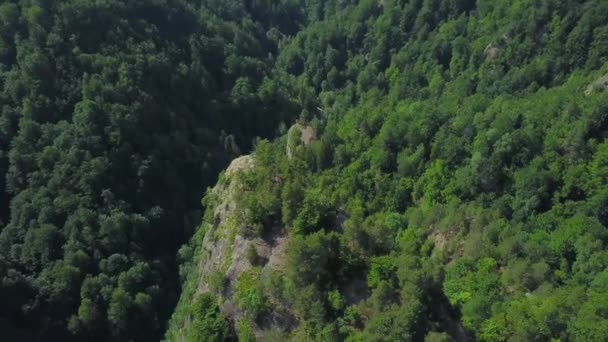 Voo Drone Acima Uma Reserva Natural Nas Montanhas Cárpatas Grandes — Vídeo de Stock