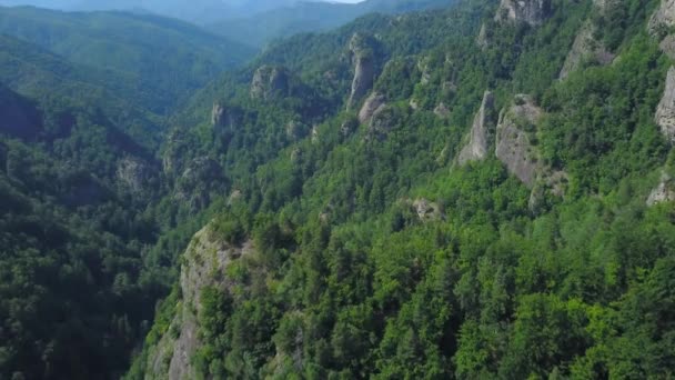 Vol Drone Dessus Une Réserve Naturelle Dans Les Carpates Grands — Video
