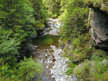 Hızla akan bir dağ nehrinin üzerindeki drone panoraması aşınmış büyük taş parçalarından geçerken çağlayan ve göletler oluşturan basamaklar oluşturuyor. Latorita Dağları, Karpatya, Romanya.