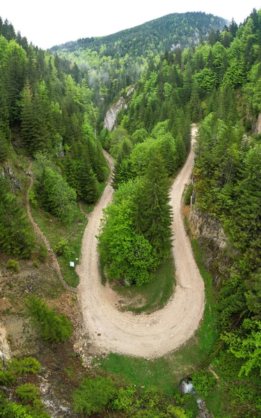 Bucegi Dağları 'nın vahşi kozalaklı ormanlarının üzerindeki hava aracı panoraması. Ormanda çakıllı bir yol esiyor. Yaz zamanı, Carpathia, Romanya.