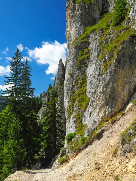 一条蜿蜒穿过茂密的冷杉森林和被侵蚀的陡峭悬崖和山脊的石子路的纵横全景 罗马尼亚喀尔巴阡山脉 — 图库照片