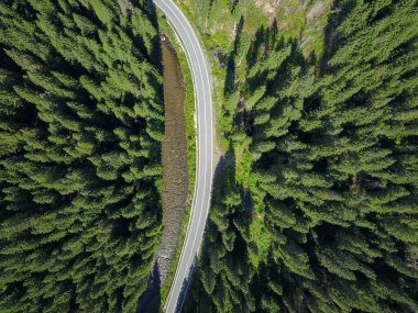 Sebes nehri üzerindeki hava aracı panorama asfalt yol boyunca kozalaklı bir ormandan akıyor. Carpathia, Romanya.