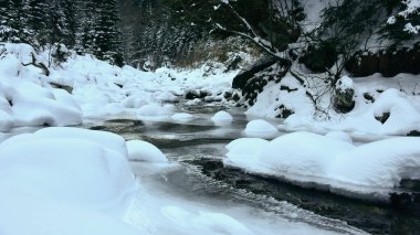 Karlı kaya ve ağaçların arasından akan donmuş bir dağ deresi. Akşam vakti, kış manzarası. Carpathia, Romanya.