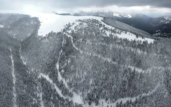 Luftaufnahme Einer Gewundenen Schotterstraße Die Sich Durch Die Verschneiten Wälder — Stockfoto
