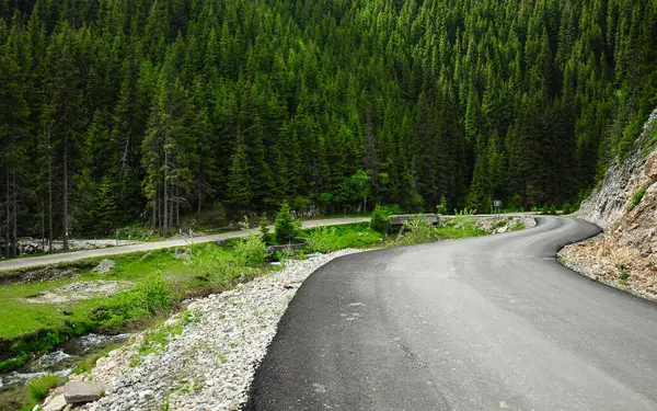 Transbucegi yolundaki çam ağaçları ve çam ağaçları boyunca, yüksek rakımlı dağ yolu boyunca sürüyorum. Bucegi Massif, Carpathia, Romanya.