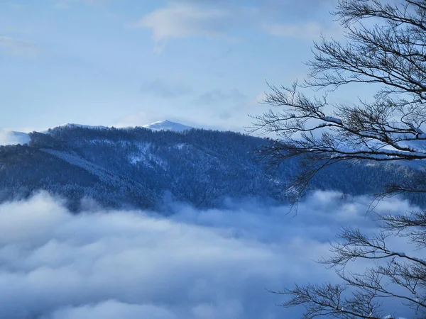 Foggy winter scenery. Mist covers coniferous forests and valleys below the mountain peaks. Snow covers everything in the scene. Parang, Carpathia, Romania