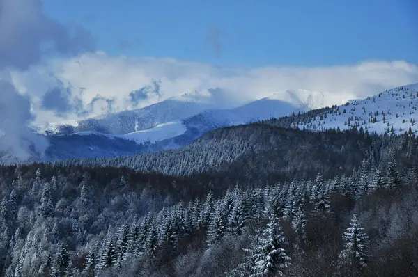 Bulutlu kış manzarası. Alçak arazi ormanlarını ve vadileri gri bir sis kaplıyor. Kar dağ zirvelerinin yüksek rakımlı tepelerini kaplıyor. Carpathia, Romanya.