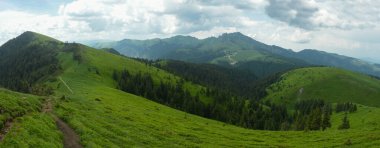 Ciucas Dağları 'nın çayırlarında kıvrılan bir patika. Yağmurlu bir atmosfer. Yazın başında. Carpathia, Romanya.