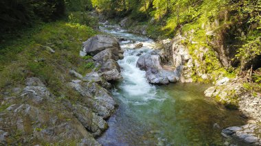 Dar bir kayalık nehir yatağından akan tatlı suyla bir dağ nehri ve küçük berrak ve şeffaf bir gölet oluşturur. Parang Dağları, Karpatya, Romanya.