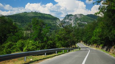 Oltetului Vadisi 'ne giden bir orman boyunca asfalt yol. Capatanii Dağları, Karpatya, Romanya.
