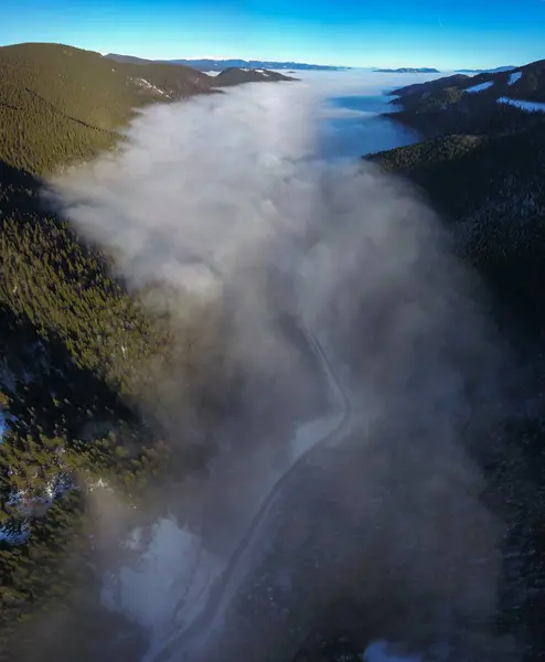 stock image Aerial drone flight above a sea of clouds covering Lotru Valley. The mist mixes with the spruce forests growing on the mountain sides. A sinuous asphalt road winds along the river below. Carpathia.