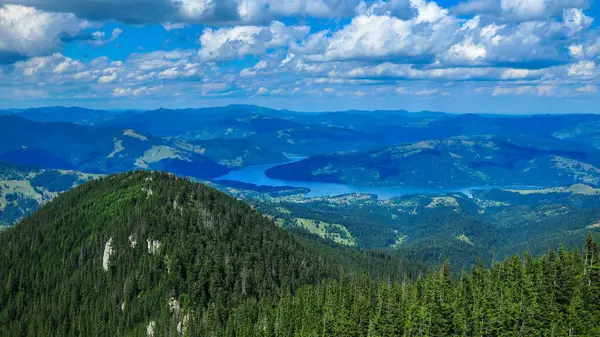 在阳光明媚 阳光明媚的夏日里 从上面望去 齐拉乌山脉的野生针叶林层出不穷 云彩覆盖着山峰和下面流淌的河流 罗马尼亚喀尔巴阡山 — 图库照片
