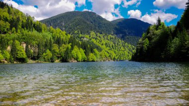 Petrimanu Gölü - Capatanii Dağları 'nda yer alan temiz suyu güneşe yansıyor. Bahar zamanı, Romanya.