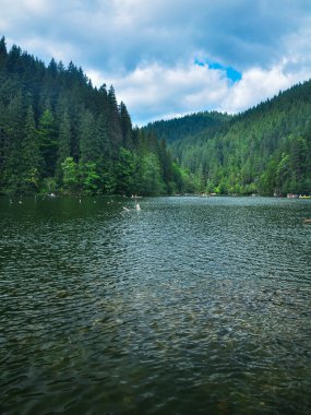 Kızıl Göl 'ün dikey manzarası. Karpat Dağları' nda yer alan bir göl. Romanya. Bulutlu bir gün, yaz zamanı.
