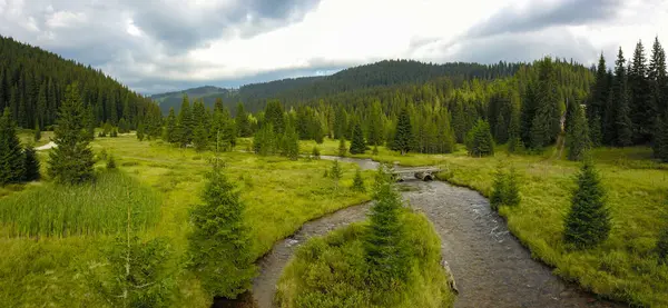 Sureanu Dağları 'nın yoğun çam ormanlarının hava aracı görüntüsü. Bulutlu bir yaz gününde, gün batımında. Sebes nehri yeşil çayırlar boyunca akar, bir köprünün altında, güneş ışığını yansıtır. 
