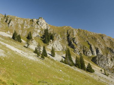 Buila Dağları 'nın altında dik bir tepe. Ladin ağaçları eğimli alp yamacında yetişir. Keskin, aşınmış uçurumlar manzarayı tamamlıyor. Carpathia, Romanya.