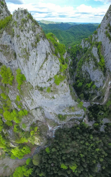 Cheia River Boğazı 'nın üstündeki hava aracı görüntüsü. Dikey, aşınmış, duygusuz uçurumlar dar kanyonun girişinde duruyor. Ağaçlar vadilerde yetişir. Carpathia, Romanya.