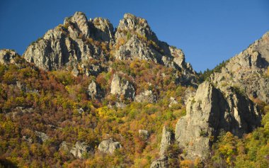 Sonbahar boyunca Cozia Dağları. Vahşi kayın ormanlarından çok sayıda sivri uçlu kayalık gökyüzüne yükseliyor. Aşınmış taşlar keskindir. Carpathia, Romanya.