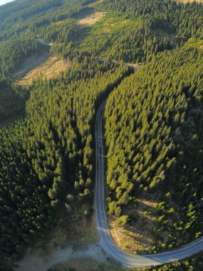 Lotru Dağları 'nın vahşi kozalaklı ormanlarının üzerindeki hava aracı panoraması. Ormanda asfalt bir otoyol esiyor. Yeniden ağaçlandırma programları altında yeni ağaçlar büyüyor. Karanlık, Karpatya, Romanya