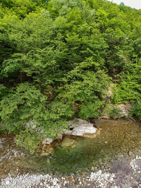 Drone view from tree crown level above a mountain stream flowing through a stony watercourse, forming a pond. The valley winds along wild beech forests. Carpathia, Romania