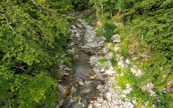 Drone view from tree canopy level above a mountain river flowing through a stony watercourse. The valley winds along wild beech forests. Carpathia, Romania