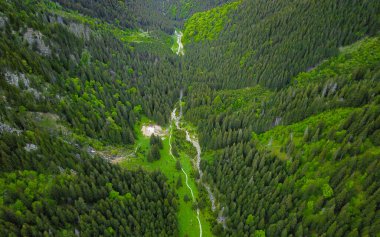 Fagaras Dağları 'nın kayalık sırtlarıyla daraltılmış bir Alp Vadisi' nin hava aracı panoraması. Bahar mevsimi, kozalaklı ormanların yakınında kayın ağaçları çiçek açıyor. Carpathia, Romanya. 