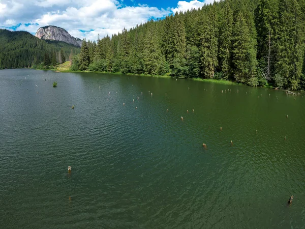 Aerial drone panorama of Red Lake. A mountain lake that has vertical tree trunks sticking out of its water luster. Coniferous trees surround the lake. Ceahlau, Carpathia, Romania